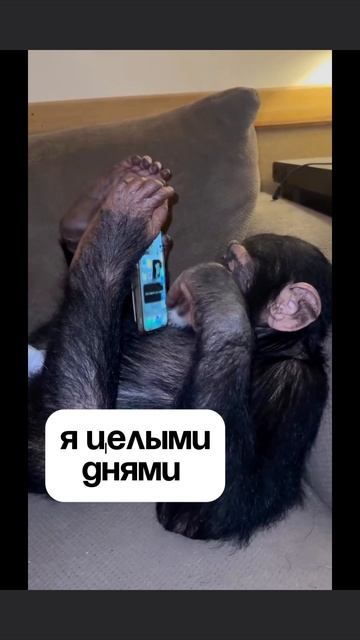 Реальность такова #семья #реальность