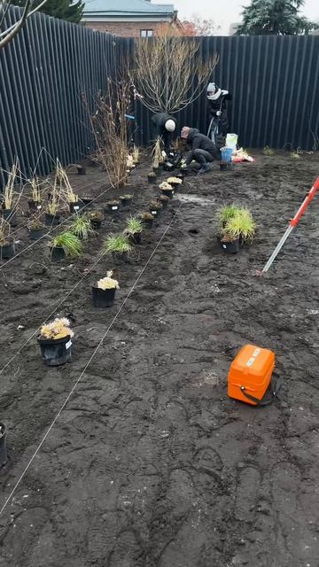 Разметка территории - важный этап в ландшафте!