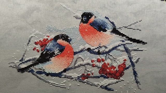 На рябине снегири,Овен1522.