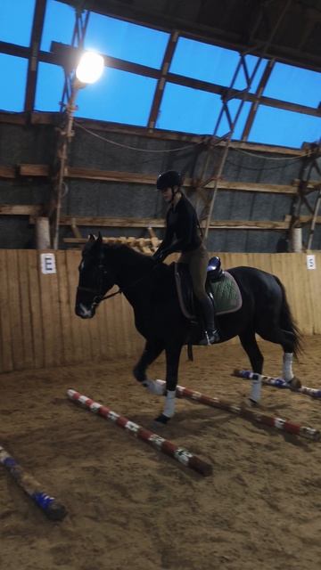 Вика и Рокас Вэлл, кавалетти в манеже.