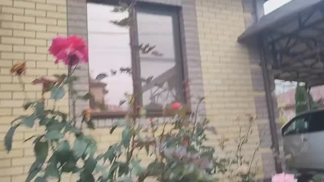 #30 Дворовые дела