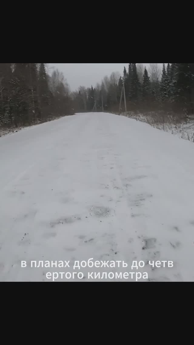 «Белая книга снега»