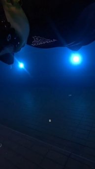 Сколько не дышит русалка? #русалка #фридайвинг #плавание #спорт #бассейн #тренировка