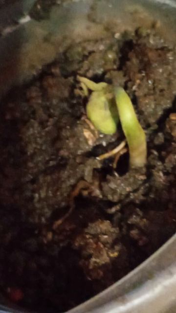 Ирина Осокина