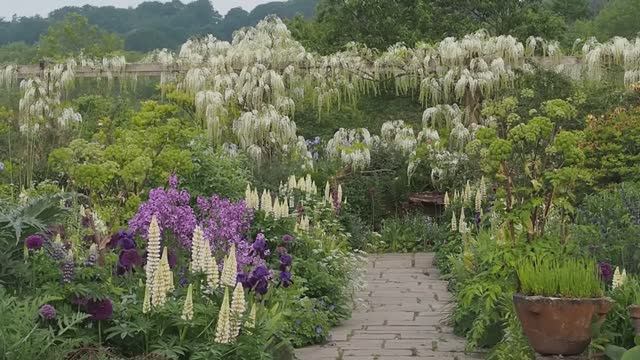 АНГЛИЙСКИЕ СЕЛЬСКИЕ САДЫ - ПОЛНОЕ ПРАКТИЧЕСКОЕ РУКОВОДСТВО