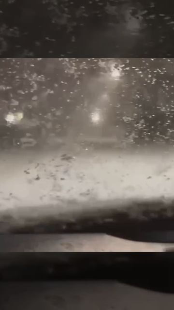 🌨Сильный снегопад уже накрыл Гатчину. Зима близко…