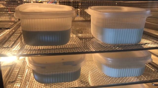 Домашний йогурт