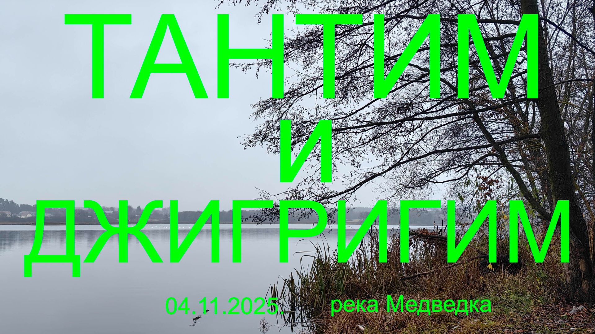 Тантим и джигригим на Медведке. 04.11.2025. р. Медведка. Рыбалка в Подмосковье