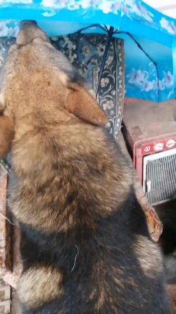 как не платить кредиты?