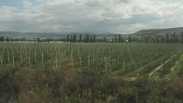 Севастополь - Бахчисарай (Крым) - вид из окна поезда.