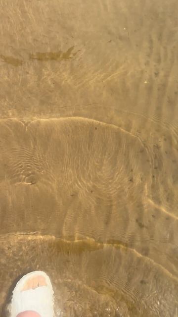 Доброе утречко.🐟🐠🐋🐳🐬