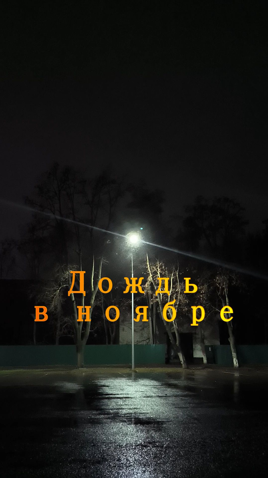 Дождь в ноябре