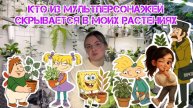Растения, как мультперсонажи.