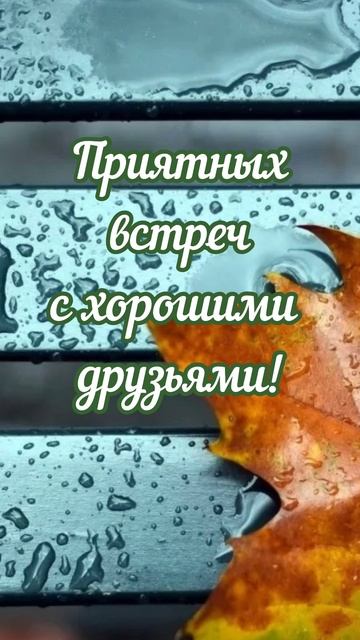 С добрым утром!#доброеутро#осень#shorts