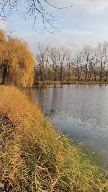 15.11.2025 #сегоднятак #природа #прырода #табиғ #自然 #natureza #natura #자연 #طبيعة #प्रकृति #nature