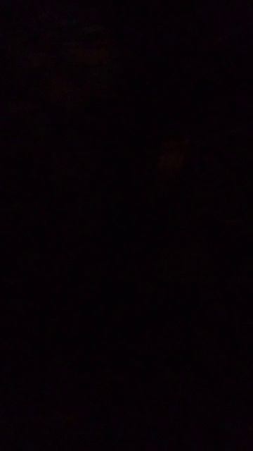 Воспоминание из детства Беллатрисы