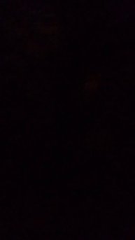 Воспоминание из детства Беллатрисы