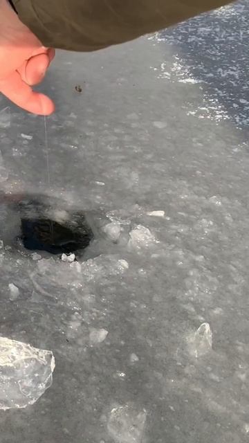 КУЧА ПОКЛЁВОК по ПЕРВОМУ ЛЬДУ