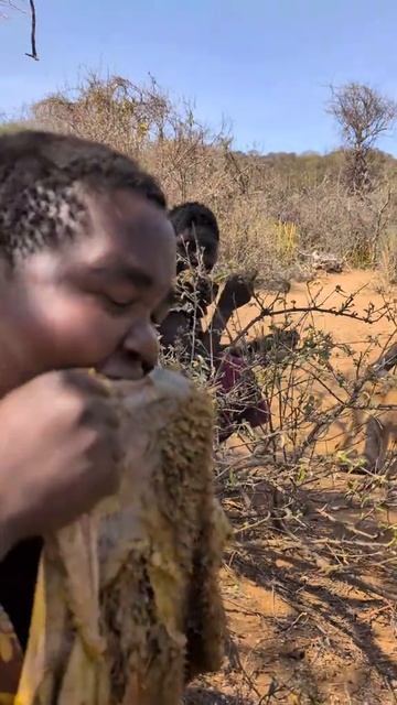 В племени игра кто больше сможет откусить мужчина проиграл женщине