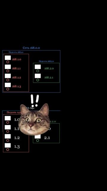 Откуда берется IP адрес?