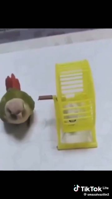 #рекомендации
тг:https://t.me/esteti4ka_gerlushka