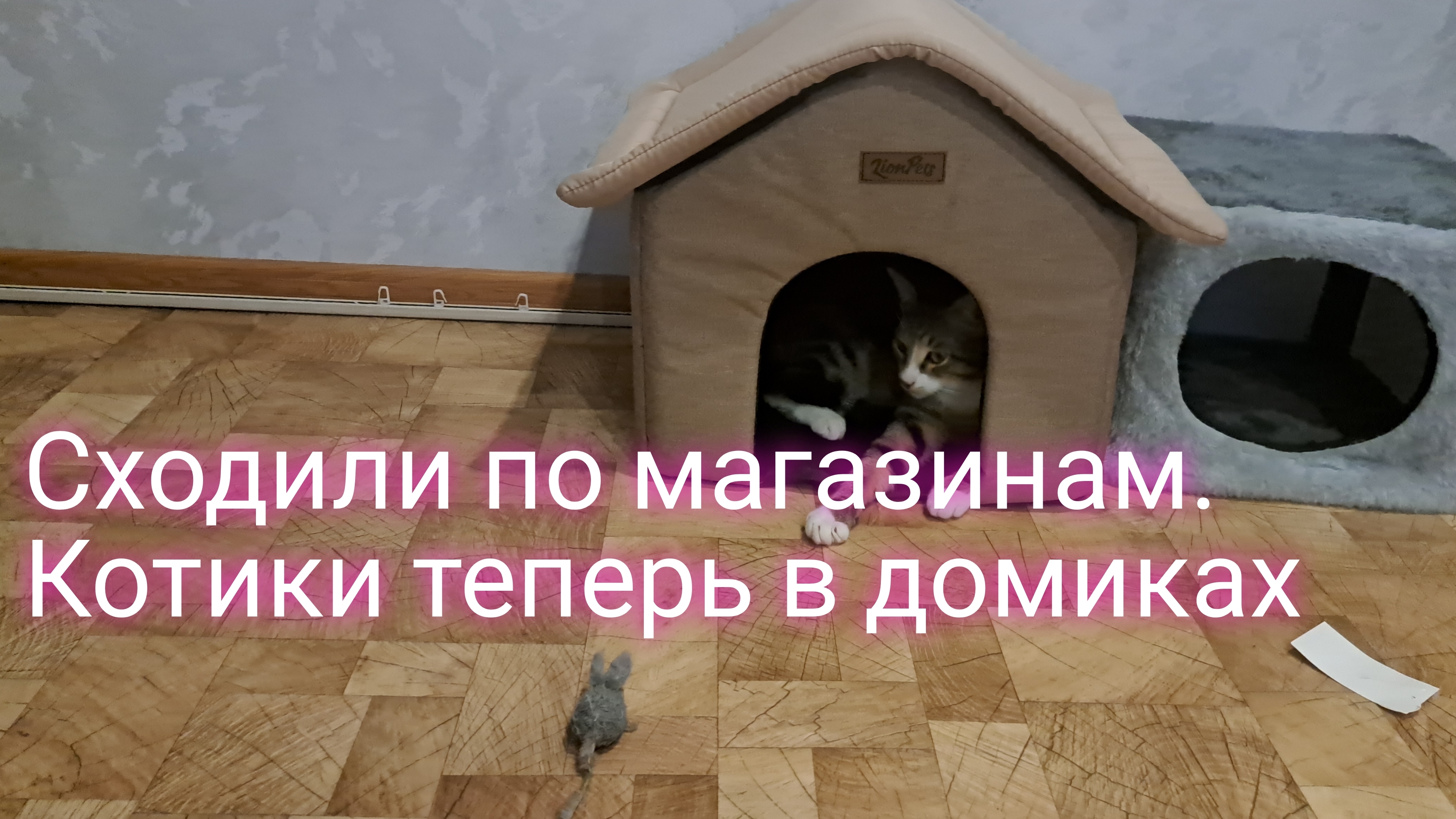 Сходили с сыном по магазинам/ котики теперь в домике/ ссылки внизу под видео