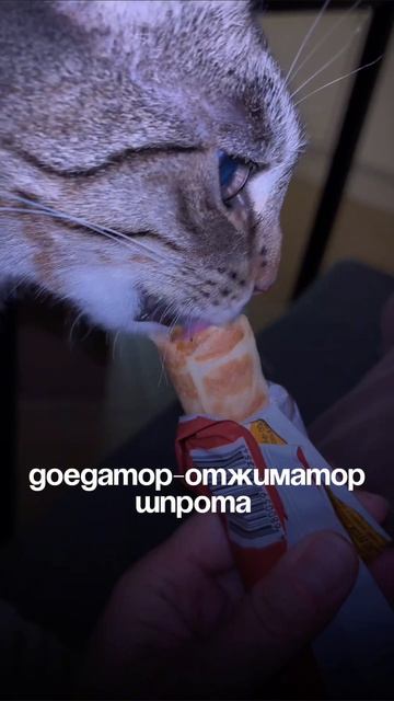 Отжиматор Шпрота #шпротина #кошка