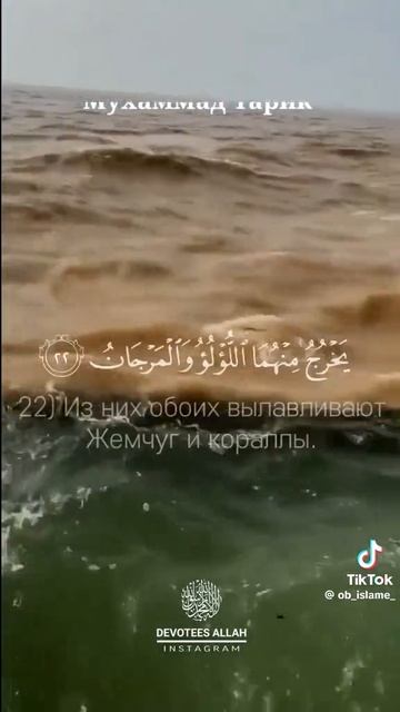 слушайте речь Аллаха