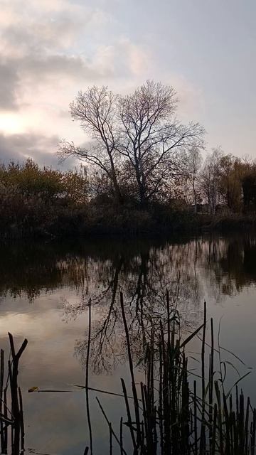 матушка земля