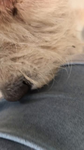 мои друзья
#vfairmans
#vskvorcov