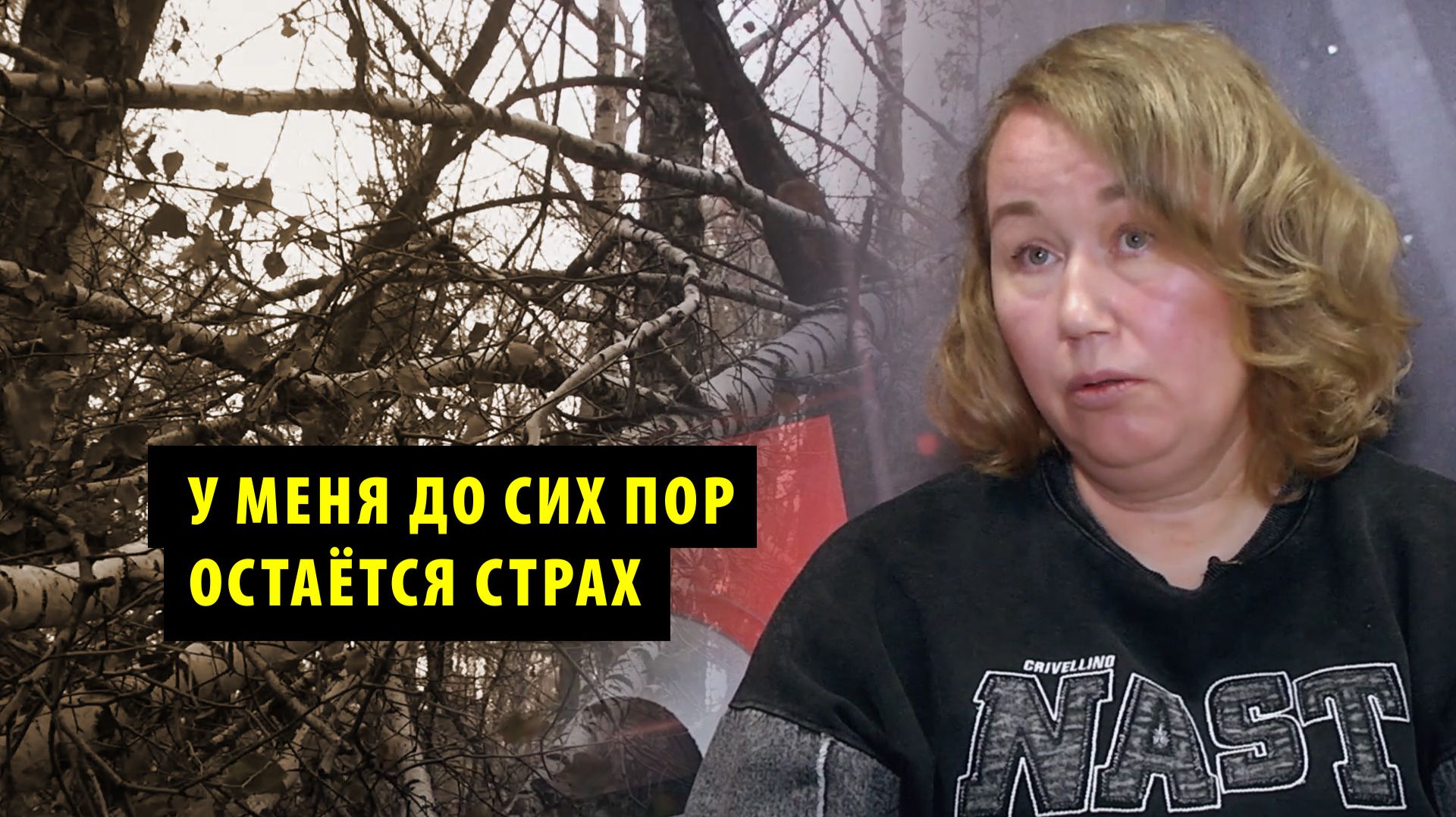 Новосибирцы рассказали о падающих деревьях на Заельцовском кладбище