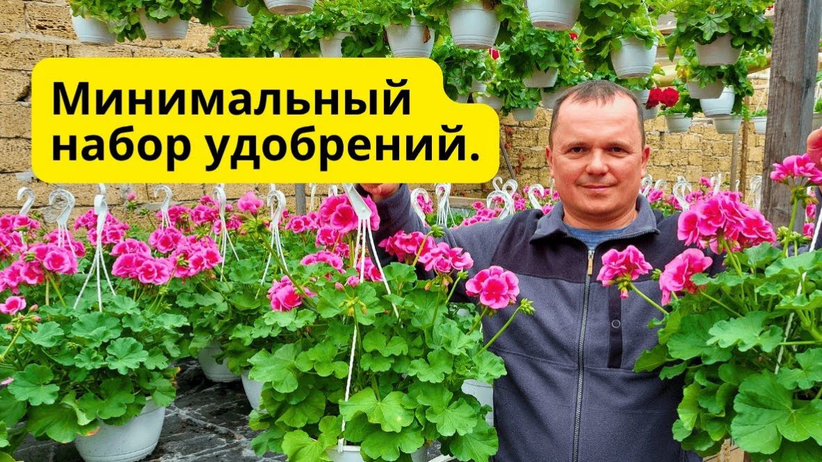 Какие удобрения нам понадобятся для растений в следующем сезоне.