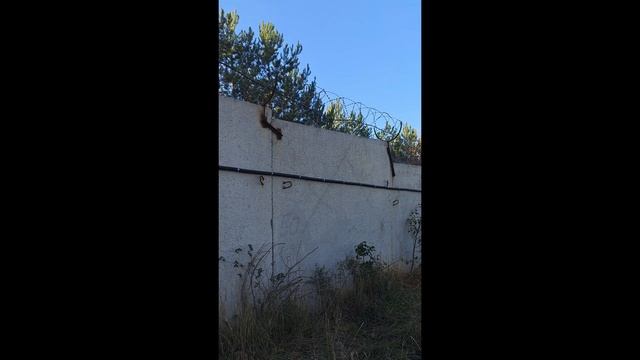 Монтаж периметровой охраны, на базе извещателя Гюрза