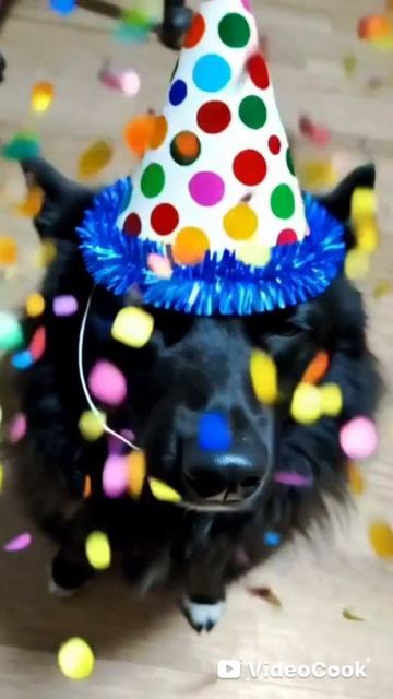 Собачка Руби