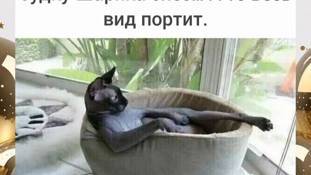 Приколы, анекдоты, юмор, статусы 😁