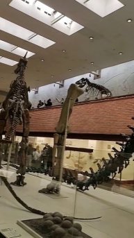 Динозавровский музей