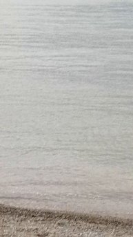 Геленджик. Плавают под парусами.