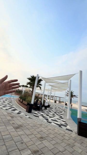 Чем заняться воскресенье утром в Сочи? Ноябрь 2025