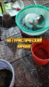 НЕТУРИСТИЧЕСКИЙ ВЬЕТНАМ 🤯 НЯЧАНГ: Опасные морепродукты 🦞🦐 #нячанг2025 #вьетнам