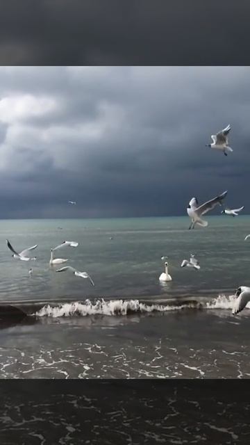 море и любовь