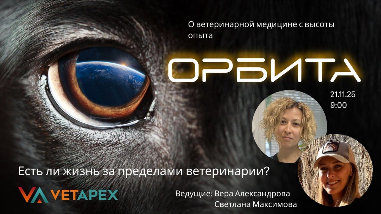 "ОРБИТА" с ветеринарными врачами Верой Александровой и Светланой Максимовой