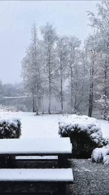 Деревенское утро!