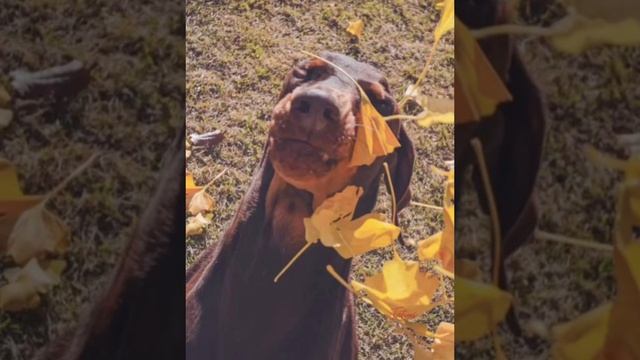 Новости о BTS 16.11.2025г