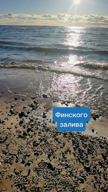 #Тибет_в_голову на финском заливе