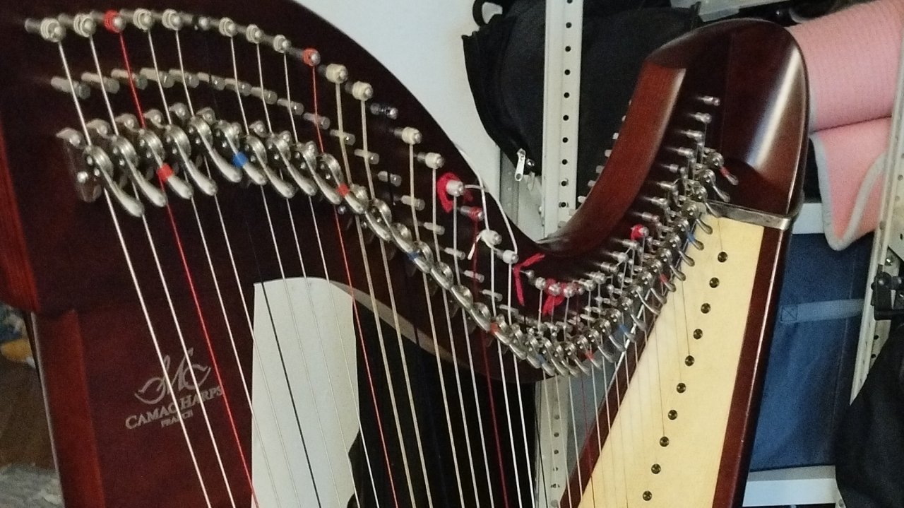 Вечерняя арфа