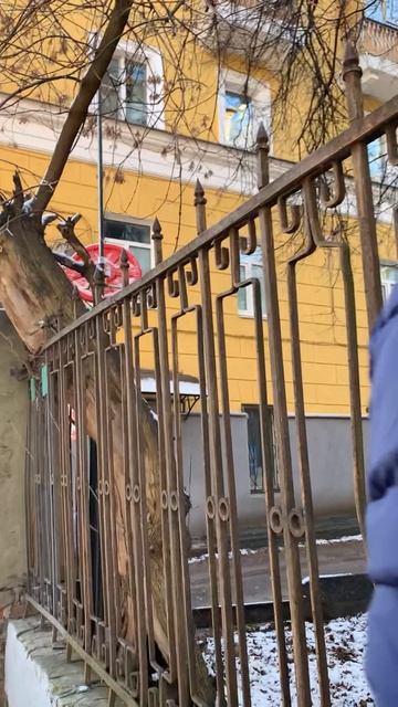 Новая куртка