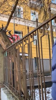 Новая куртка