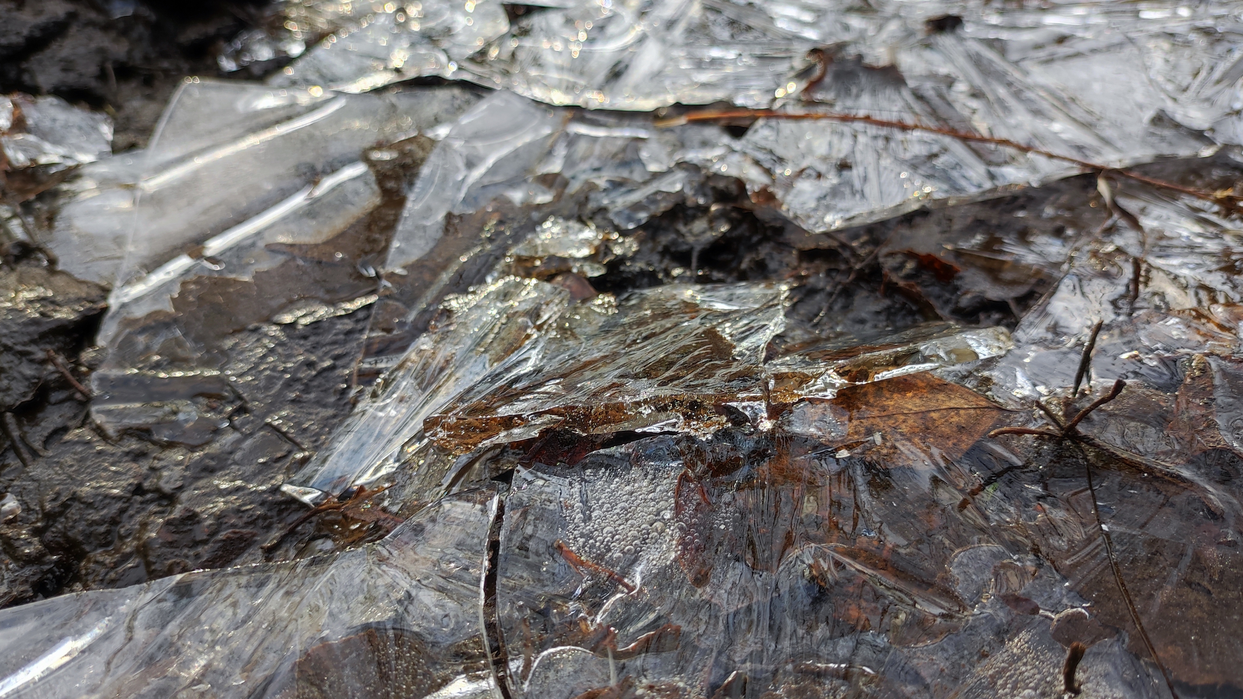 Первый лёд 16-11-2025