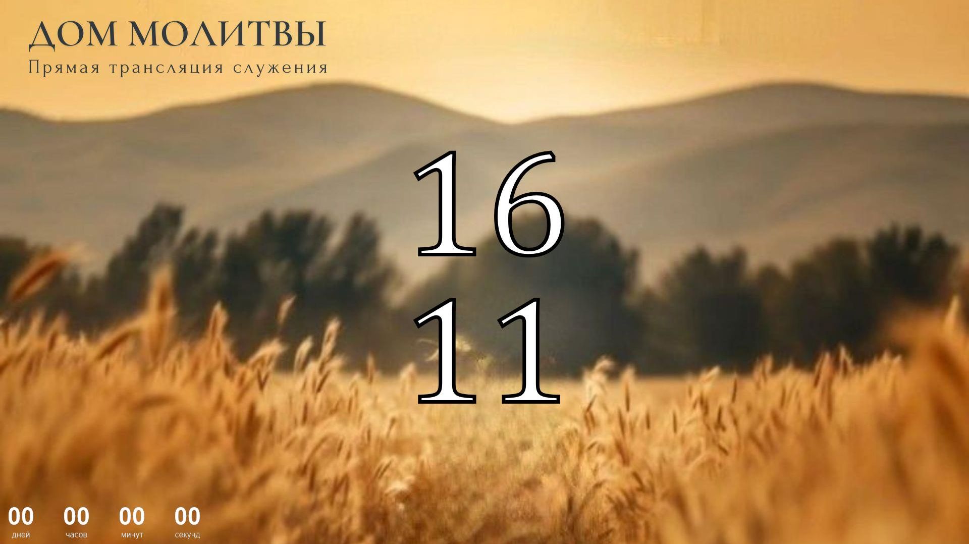 16.11.2025 - Прямая трансляция ст.Елизаветинская