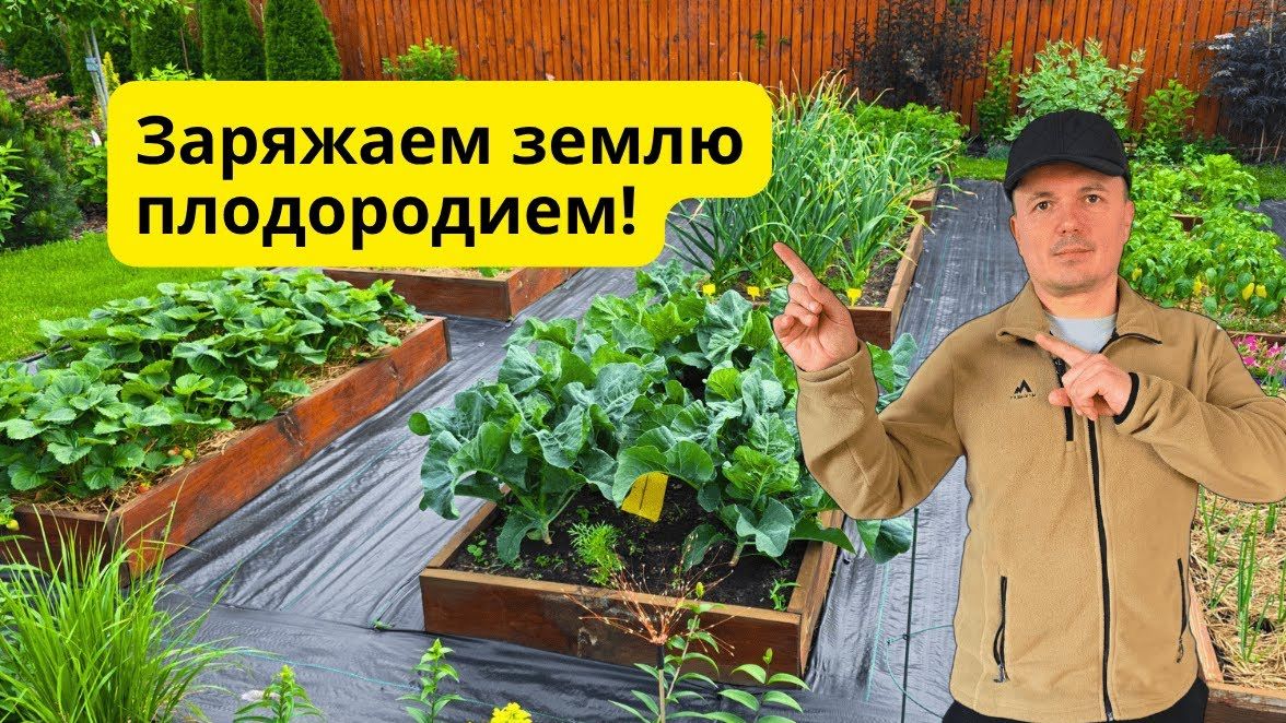 Почва на грядках снова становится плодородной- что делаем осенью.